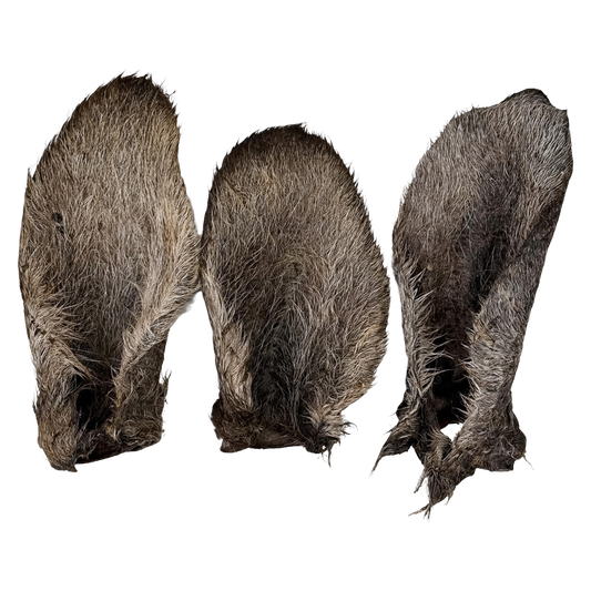 🦘 NEW! Furry Roo Ears 🇦🇺