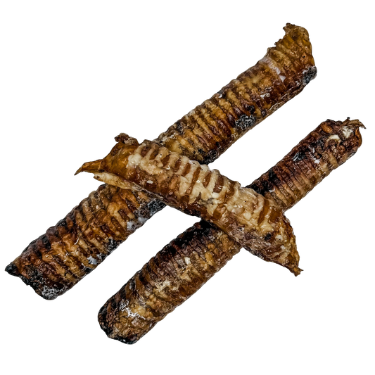 🐄 Whole Beef Trachea Tubes 🇦🇺