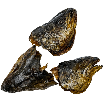 🐟 Atlantic Salmon Heads 🇦🇺