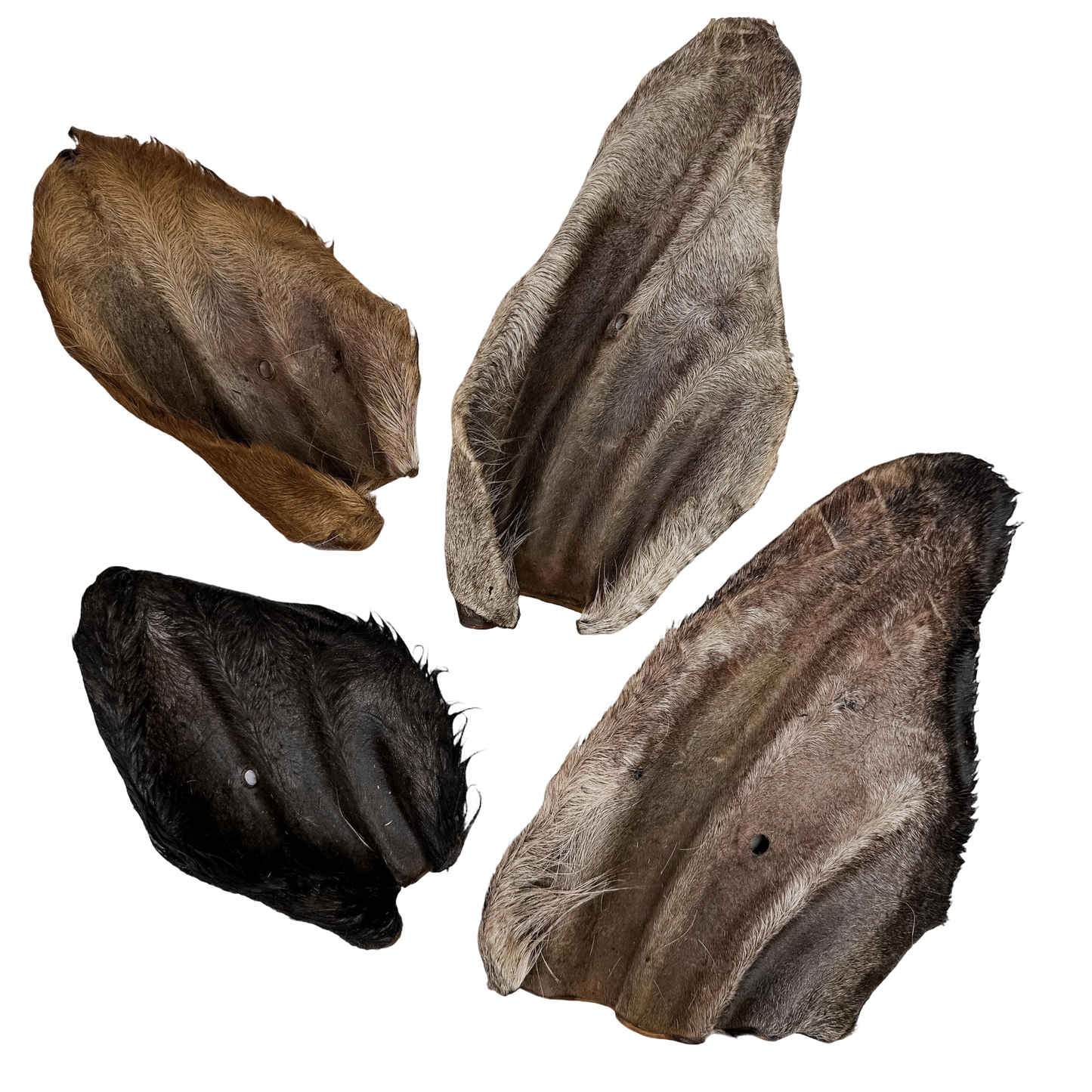 🐄 Furry Cow Ears 🇦🇺