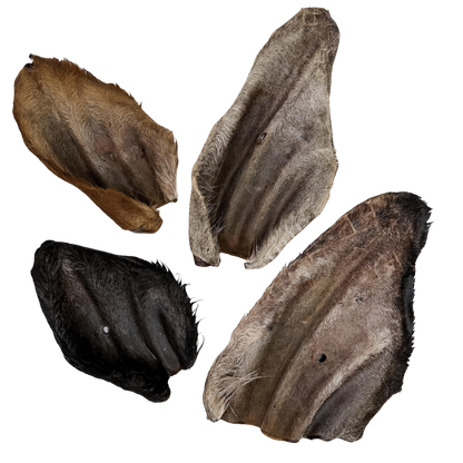 🐄 Furry Cow Ears 🇦🇺