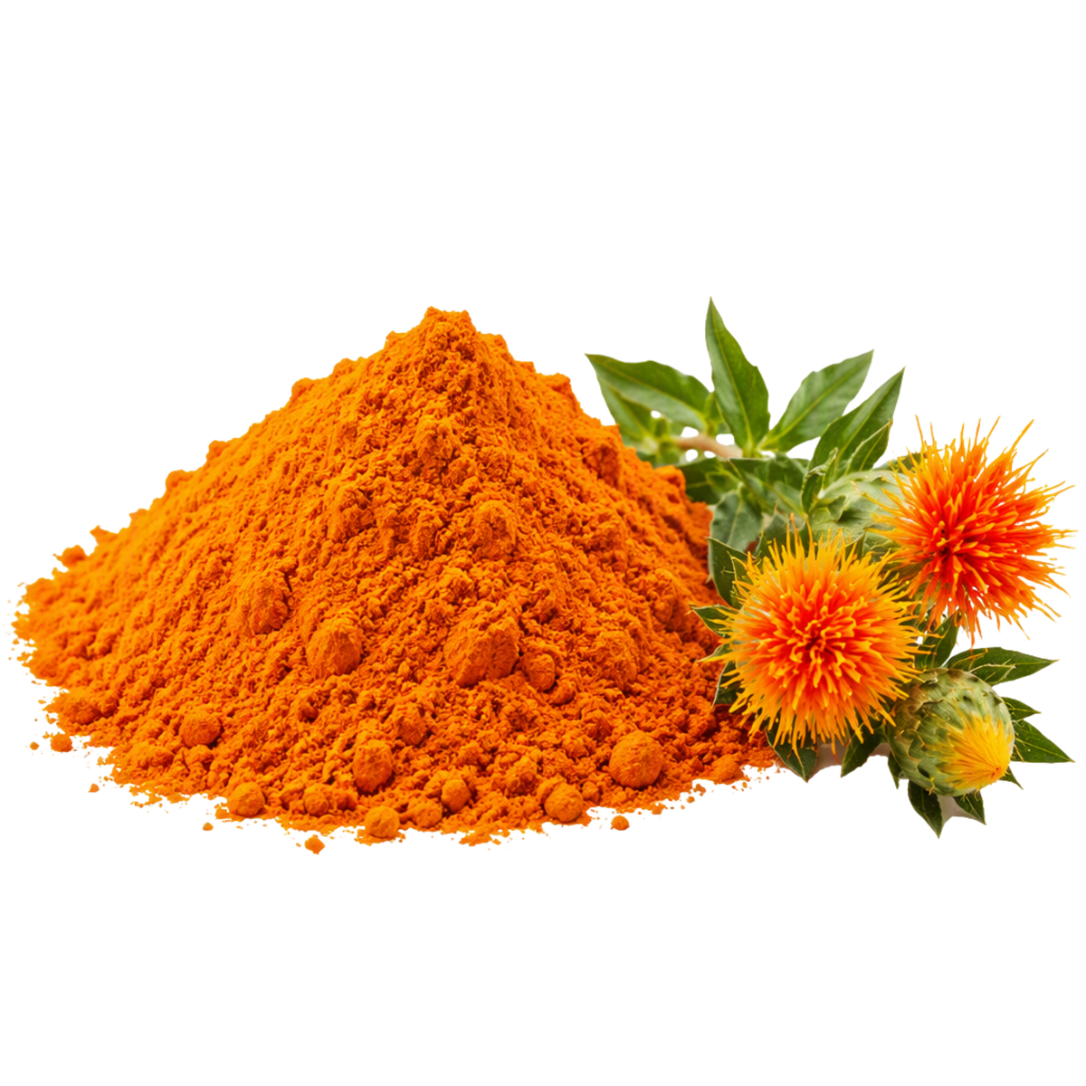 Organic Safflower Powder
