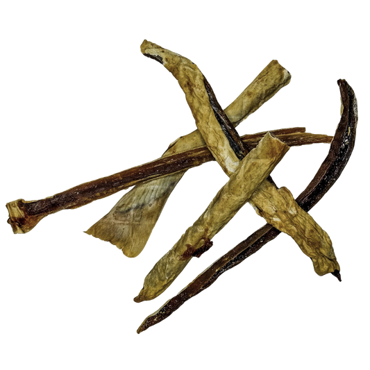 🦈 Shark Stick 🇦🇺