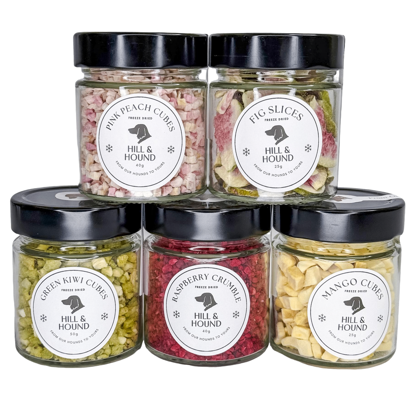 Glass Jars - NEW Freeze Dried Collection