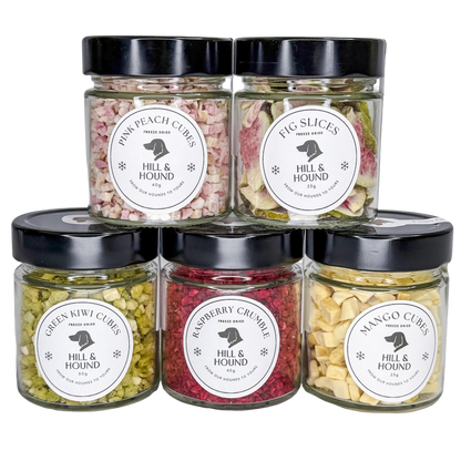 Glass Jars - NEW Freeze Dried Collection