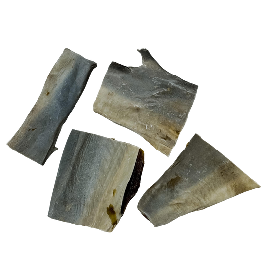 🦈 Shark Skin 🇦🇺