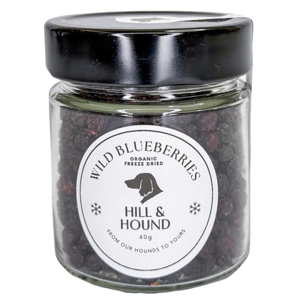 Freeze Dried Organic Wild Blueberry