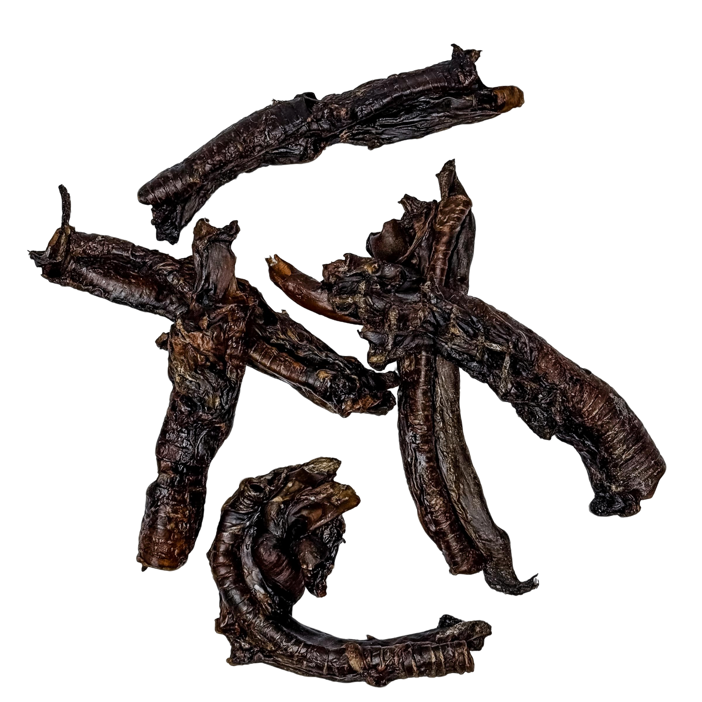 🦘 Kangaroo Trachea 🇦🇺