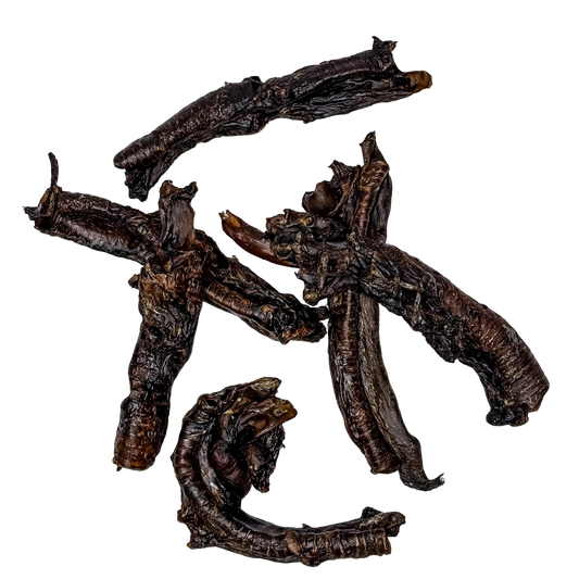 🦘 Kangaroo Trachea 🇦🇺