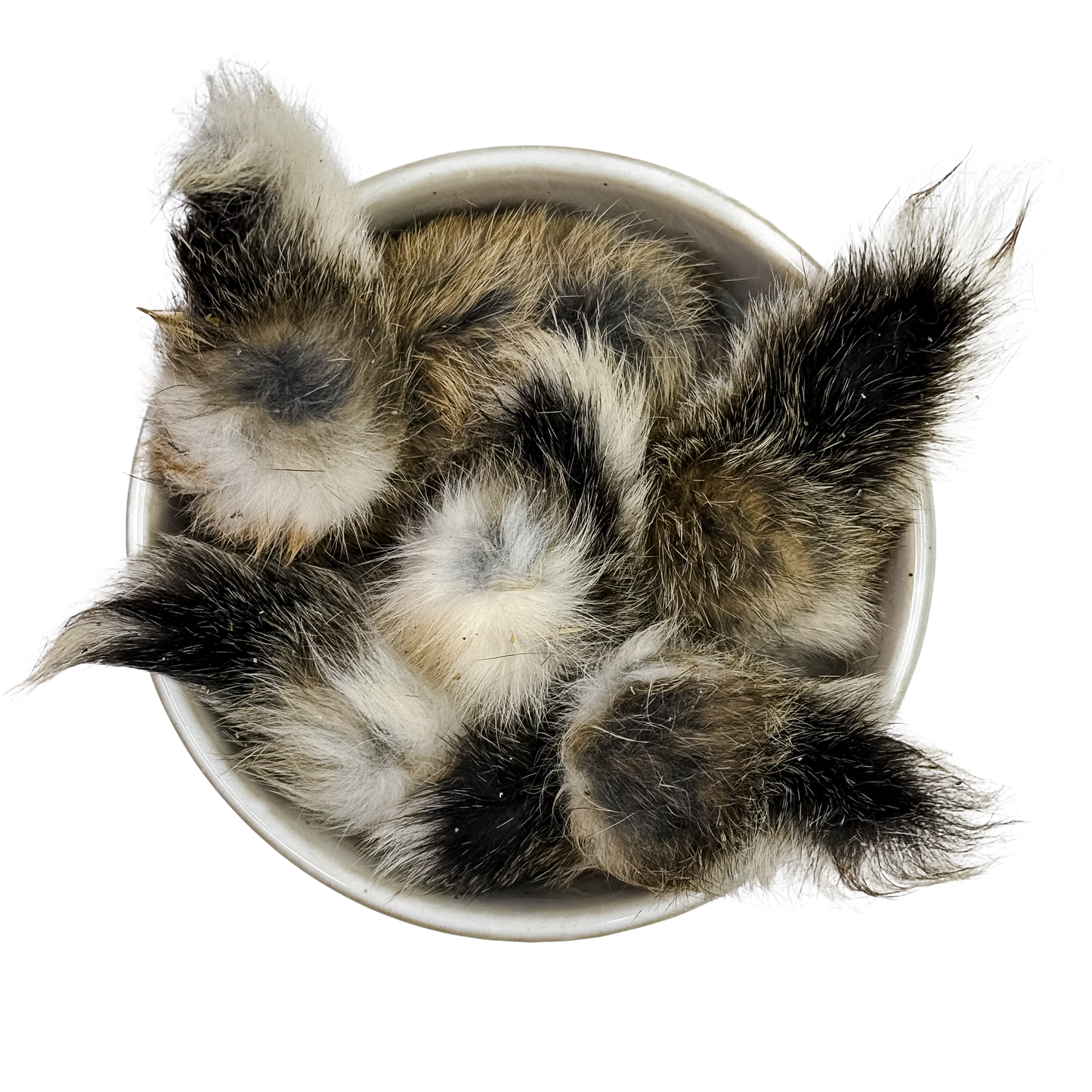 🐇 Wild Furry Rabbit Tails 🇦🇺