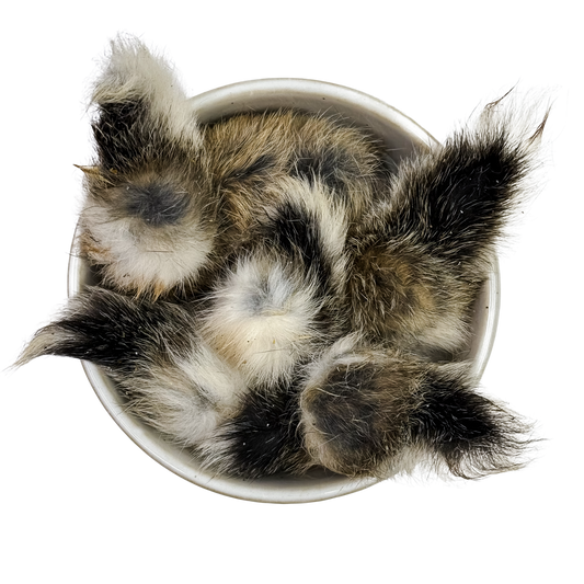 🐇 Wild Furry Rabbit Tails 🇦🇺