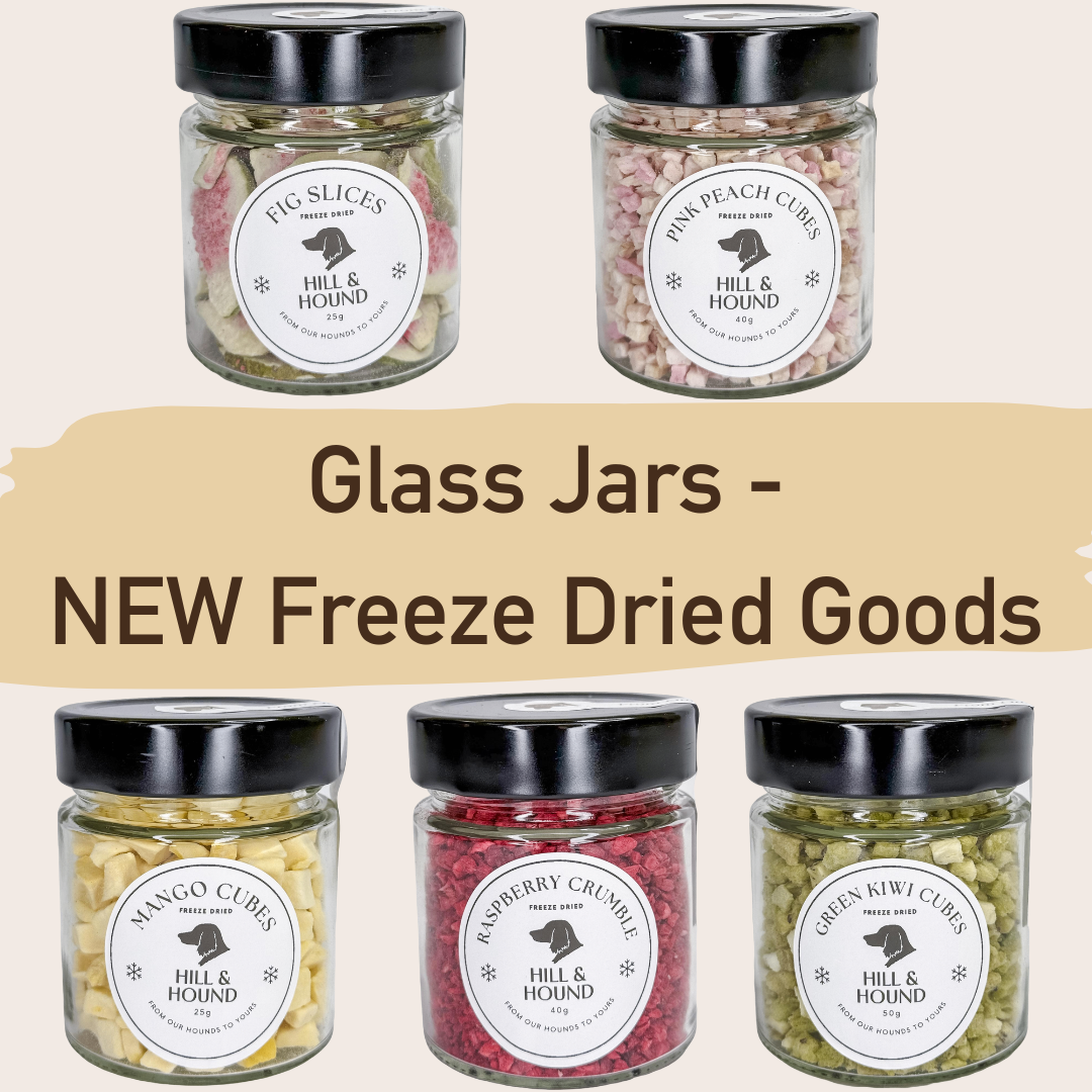 Glass Jars - NEW Freeze Dried Collection