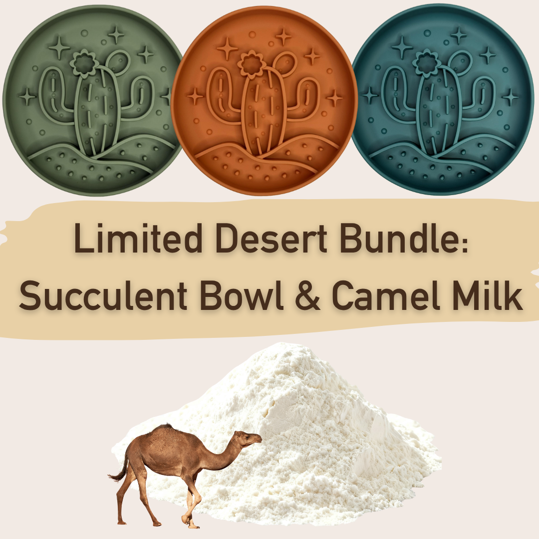 🐪 Limited Desert Bundle: Succulent Bowl & Camel Milk 🌵
