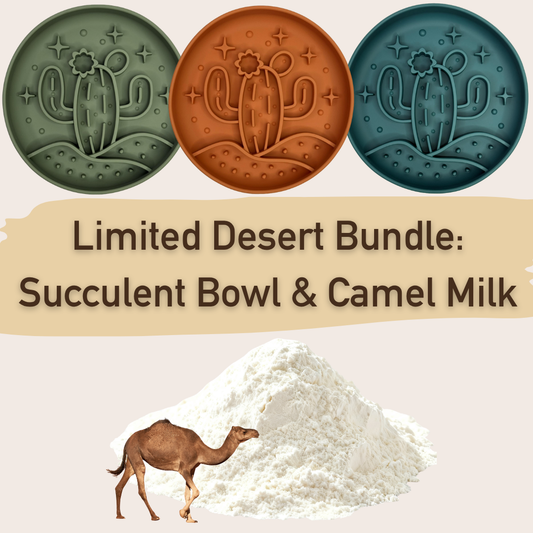 🐪 Limited Desert Bundle: Succulent Bowl & Camel Milk 🌵