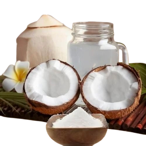 🥥🌊 NEW! Organic Coconut Water Powder