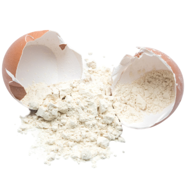 Eggshell Powder